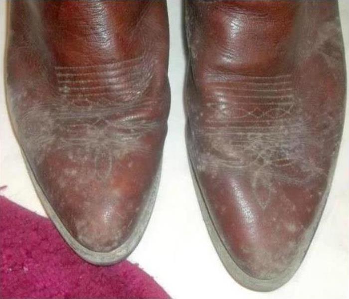 moldy brown men's dress shoes